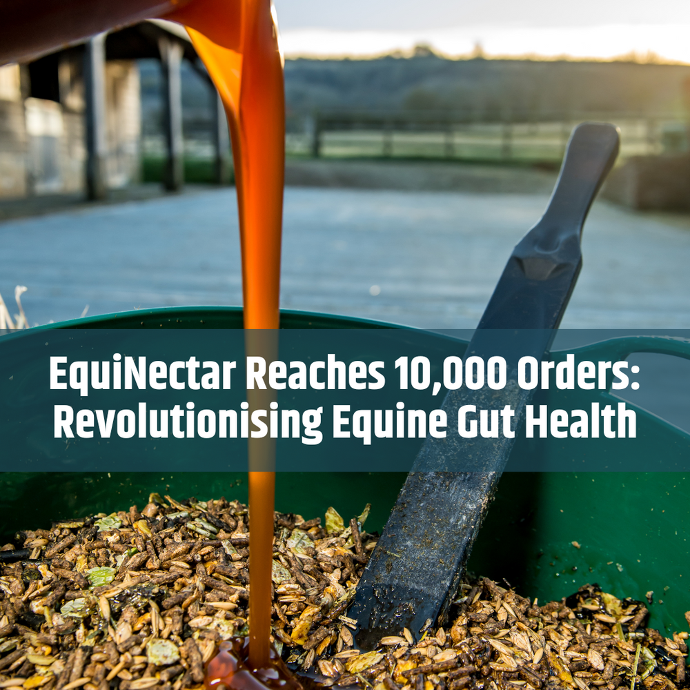 EquiNectar Reaches 10,000 Orders: Revolutionising Equine Gut Health